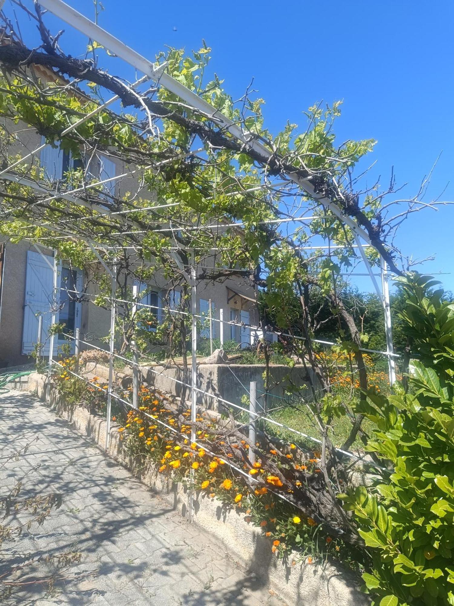 Apartmán Hysope Château-Arnoux Exteriér fotografie